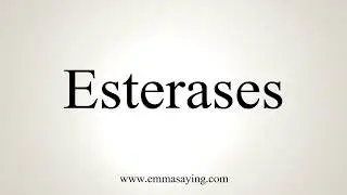 How To Pronounce Esterases