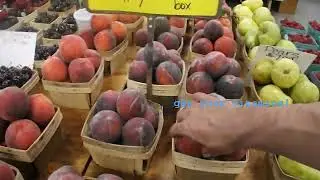 Summer Solstice 2025 - Fishing at Raccoon Beach, Hiking Serial Killer Trail, Visiting Farmers Market