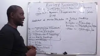 NECO Biology practical 2023 | Specimen E AND F | SPYROGYRA FILAMENT AND MUCOR/ RHIZOPUS