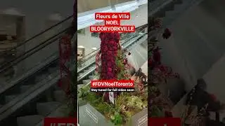 Fleurs de Villes #FDVNoelVOYAGE A festive floral trail for the holiday by #toronto talented florists