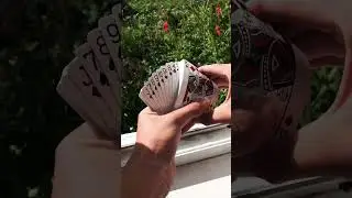 Monarch playing cards review 🤯