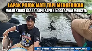 DAPET LAPAK POJOK LAGI TAPI KOK ANEH‼️