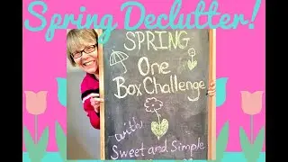 Spring Cleaning One Box Challenge 2020! Declutter Inspiration!