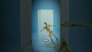how high can you fall before you break?  #facts  #human  #viral