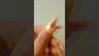 Beautiful nail designs 🤩 #trending #fashionstood #naildesigns #nail stamp