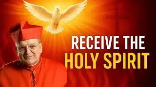 The Power of Confirmation | Receiving the Holy Spirit at Pentecost ~ Cardinal Burke