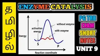 #ENZYME #KINETICS #PGTRB UNIT-9 // ENZYME CATALYSIS // PG TRB EXAM SHORT NOTES// SUPER SHORT NOTES