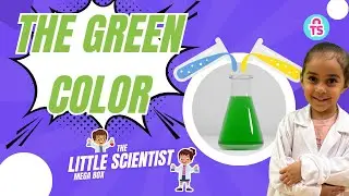 1 The Green Color Experiment | How to get Green Color | Easy exciting experiment for kids | ToySavvy