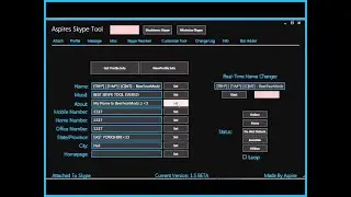THE BEST SKYPE TOOL EVER?