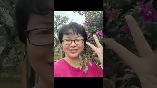 C&ocirc; g&aacute;i th&ocirc;n qu&ecirc; - Countryside girl