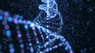 Chemical Reactions: The Engine of Life