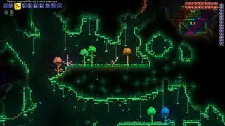 Поход в джунгли и пески в Terraria с Emma Fit семечко get fixed boi 7