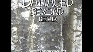 Damaged beyond repair - Sometime [Alternative/Indie/Rock]