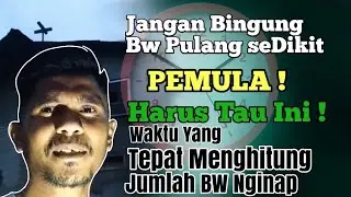 Waktu Burung walet Pulang kandang ke RBW || Swiftlet House Evaluate