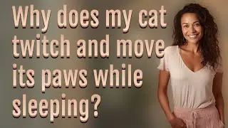 Why does my cat twitch and move its paws while sleeping?