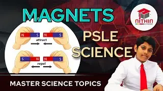 PSLE SCIENCE | MAGNETS |  Primary 5 & 6 Singapore | Master Science Topics