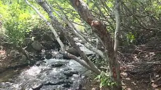 Hunter Creek II 8/29/25