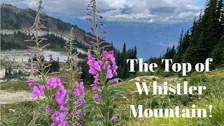 Whistler Mountain | Peak Express Chairlift, Cloudraker Skybridge & Raven&rsquo;s Eye Lookout | Walkthrough