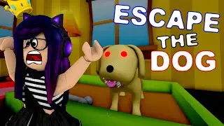 EL PERRO ME QUIERE MORDER | Kori Juegos