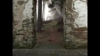 Lee Robertz The Door