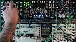 Triphase Oscillator by New Systems Instruments