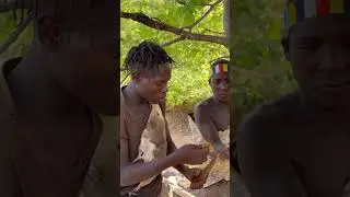 #africa #animals #colonelkkj4 #comedy #documentary #food #funny #onlytjesus #rgmu #wildlife