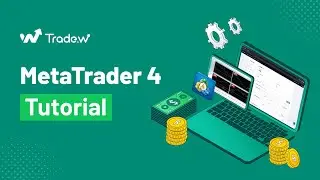 Освоение торговли на MT4 с TradeWill: пошаговое руководство