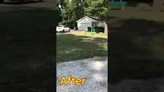 Yard clean up  yards and more.   Yardsandmore.Net   Tallahassee lawn care