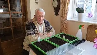 Сад Касл-Хилл. Начинаем сезон овощей.