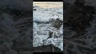 vol9 bu t&uuml;r videolar i&ccedil;in. bizi takip etmeyi unutmayın 🤍