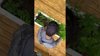 Growing your own herbs is easily one of the best garden investments with high return