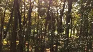 John Easterlin Park | Drone | DJI Spark