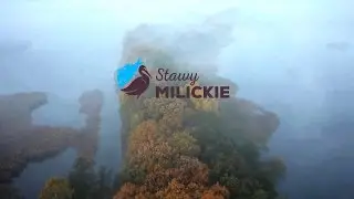 Stawy Milickie - Witaj w Krainie Niezwykłości