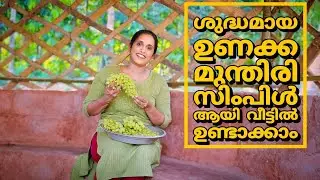 ശുദ്ധമായ ഉണക്കമുന്തിരി സിമ്പിൾ ആയി വീട്ടിൽ ഉണ്ടാക്കാം|How to make Dry Grape | Homemade Raisins