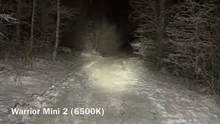 Olight Baton 3 Pro VS Warrior Mini 2