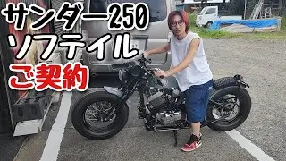 サンダー250 ソフテイルご契約