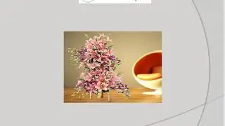 Send Flowers to Ajman Online | Buy Flowers Online