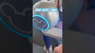 THE Blue Light Magic Band at Disney World #disney #disneyvacation #disneyshorts #disneylife #disney