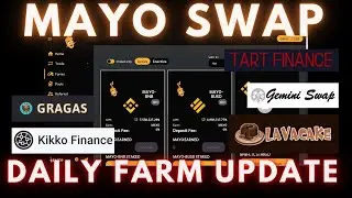 Mayo Swap | Gemini | Kikko Finance | Lava Cake | Tart Finance Skunk | Daily Farm Update