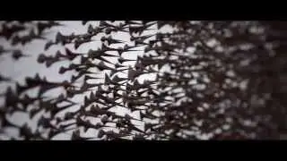 Bande-annonce - Exposition 