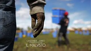 Il Malvisto - Canzoniere Jonico (Pizzicati int'allù Core)