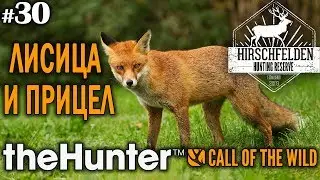 theHunter call of the wild #30 🔫 - Лисица и Прицел - Винтовка - Лиса