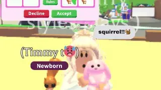 New adopt me update! New toys?  new pets?? 🐿