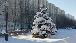 30 января 2026г 