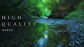 River Sounds in Deep Shade - No Birds or Music