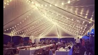 Cafe String Lights | Wedding Rentals | Kentucky