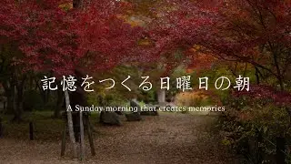 【記憶をつくる日曜日の朝】埼玉嵐山渓谷