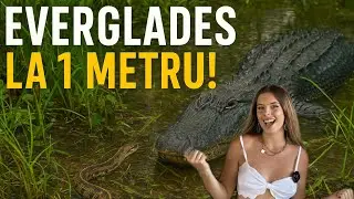 Am fost la 1 METRU de CROCODILI…si nu a fost deloc sigur🫣 | Airboat + EVERGLADES 🐊