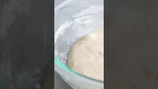 How to tell when bulk fermentation is done 🫧 #sourdoughtips #sourdoughbaking #sourdoughforbeginners