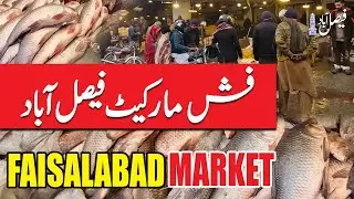 Faisalabad Fish Market Tour | Fresh Fish Cutting & Cleaning Skills | Real Market Scenes (No Talking)